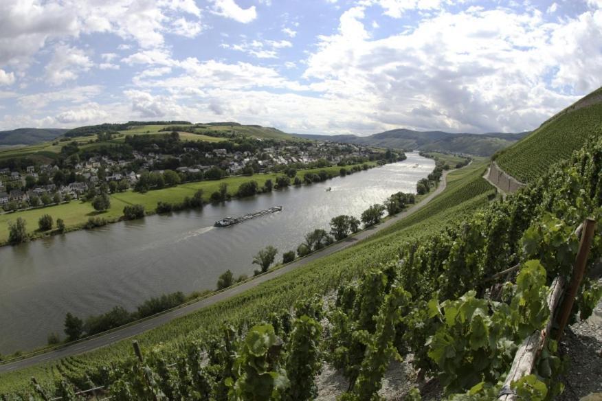 Apartamento Weingut Fehres Brauneberg Exterior foto